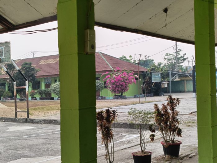 Rumput Mengering, Lingkungan MAN 1 Sarolangun Berubah Rumput Mengering, Lingkungan MAN 1 Sarolangun Berubah