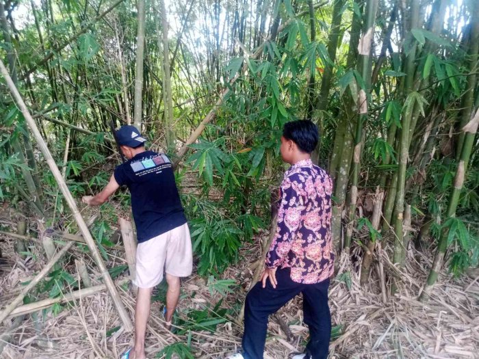 Persiapan PTA, Tim Pramuka MAN 1 Sarolangun Cari Bambu Bersama Pembina Persiapan PTA, Tim Pramuka MAN 1 Sarolangun Cari Bambu Bersama Pembina